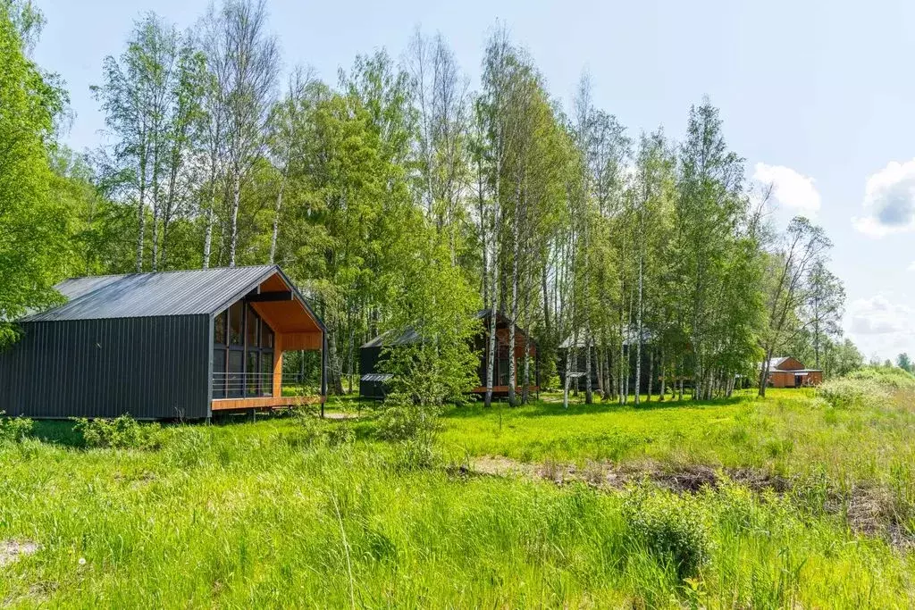 Дом в Ленинградская область, Приозерский район, Ромашкинское с/пос, ... - Фото 2