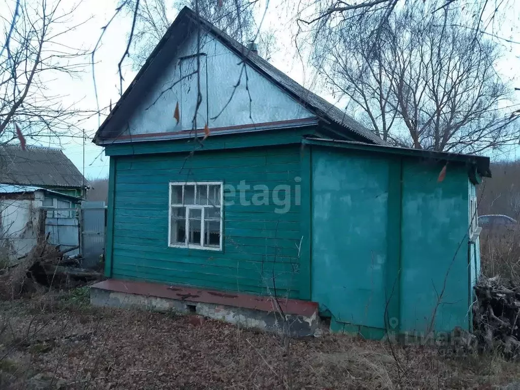 Дом в Тамбовская область, Мичуринский муниципальный округ, с. Мановицы ... - Фото 1