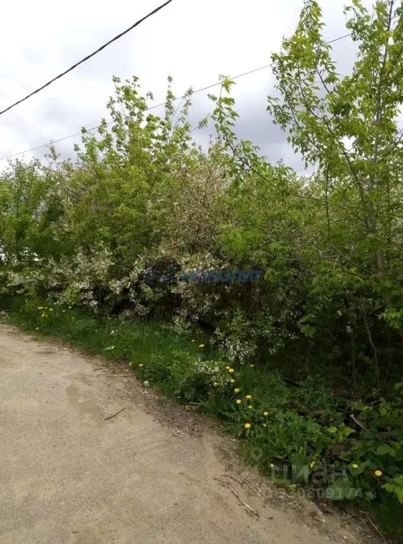 Участок в Нижегородская область, Нижний Новгород Факел СНТ, 298 (10.0 ... - Фото 1