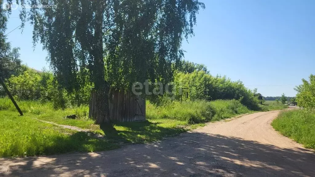 Участок в Пермский край, Осинский муниципальный округ, посёлок ... - Фото 1