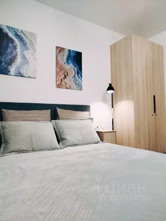 Студия Санкт-Петербург просп. Буденного, 23к1 (27.0 м) - Фото 2