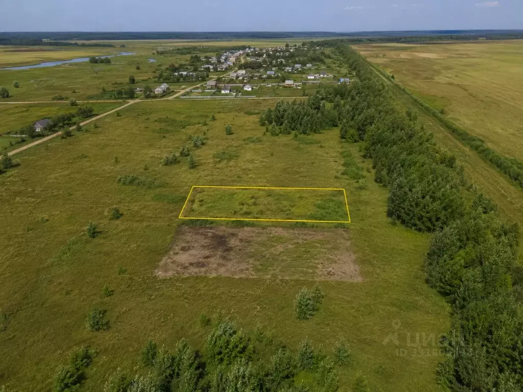 Участок в Амурская область, Ивановский муниципальный округ, с. ... - Фото 1