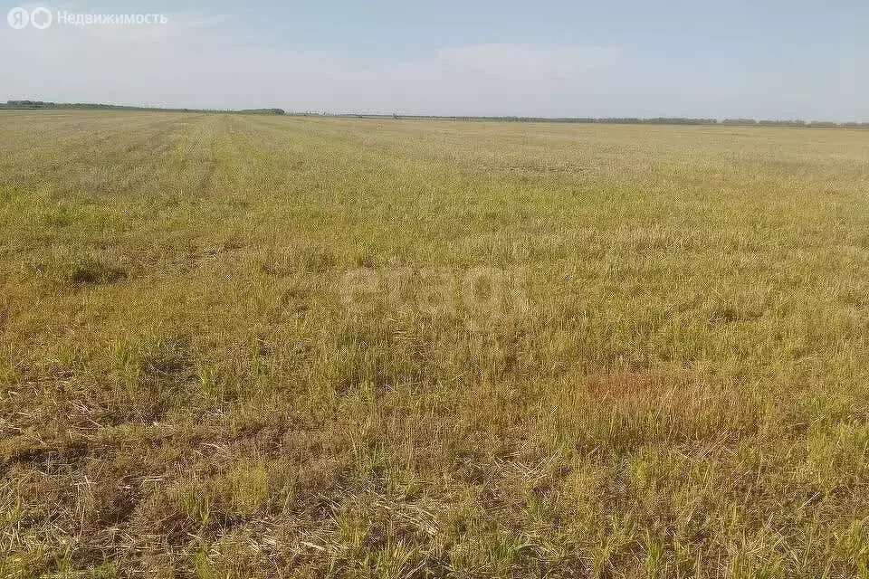 Участок в Елецкий район, Большеизвальский сельсовет, деревня ... - Фото 1