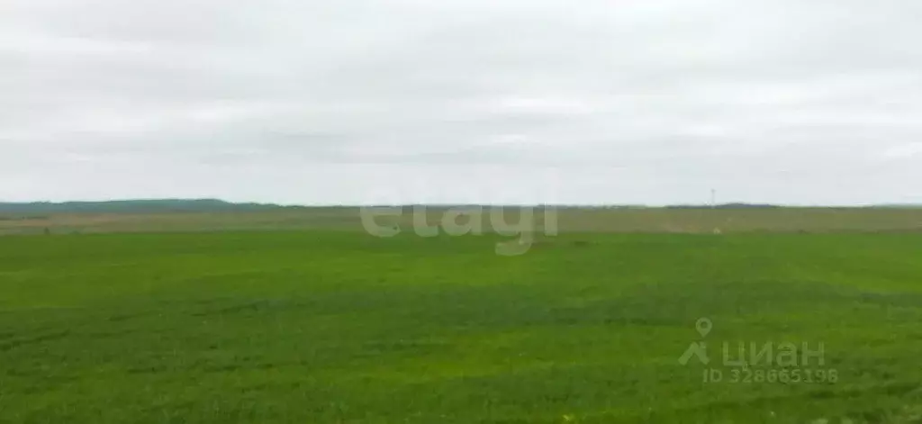 Участок в Крым, Ленинский район, Заветненское с/пос, с. Заветное ул. ... - Фото 1