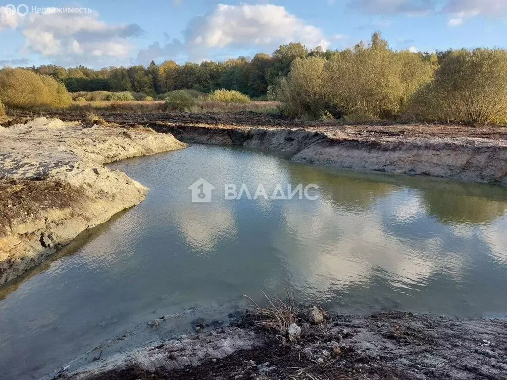 Участок в Калининградская область, Гурьевский муниципальный округ, ... - Фото 1