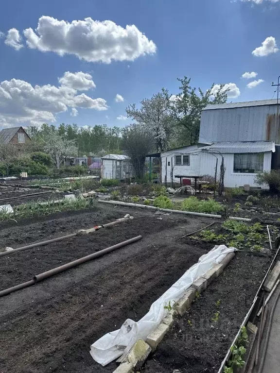 Дом в Челябинская область, Красноармейский район, Козыревское с/пос  ... - Фото 1