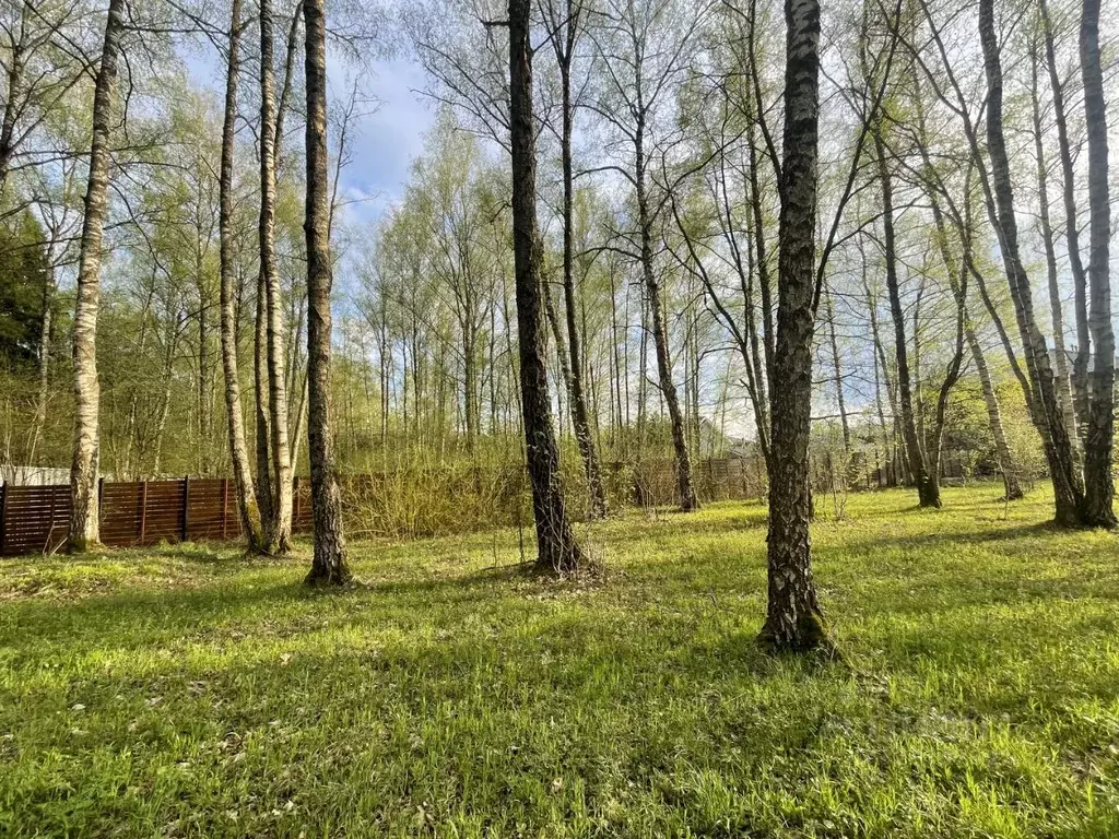 Участок в Московская область, Наро-Фоминский городской округ, ЗАО Нара ... - Фото 2