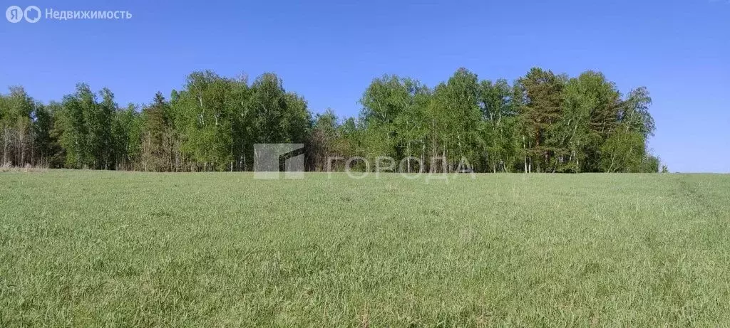 Участок в село Фирсово, Кедровая улица (9.2 м) - Фото 1