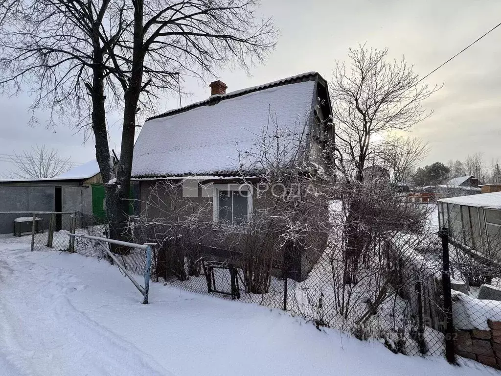 Дом в Новосибирская область, Коченевский район, Дружба-2 СНТ ул. ... - Фото 0