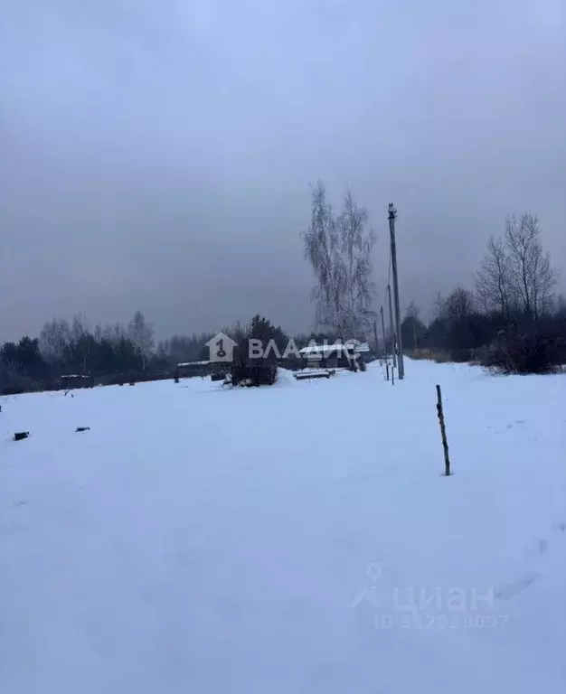 Участок в Владимирская область, Владимир сад Заречье, 127 (10.0 сот.) - Фото 1