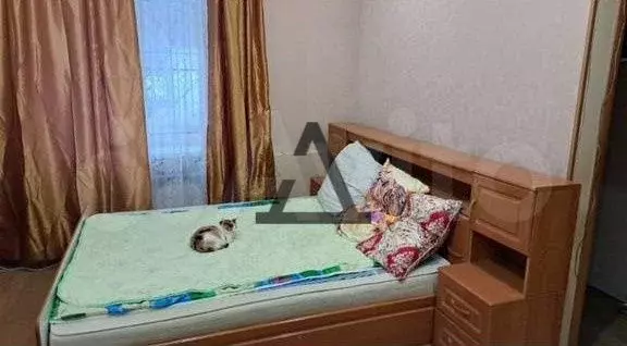 1-к. квартира, 35 м, 1/5 эт. - Фото 1