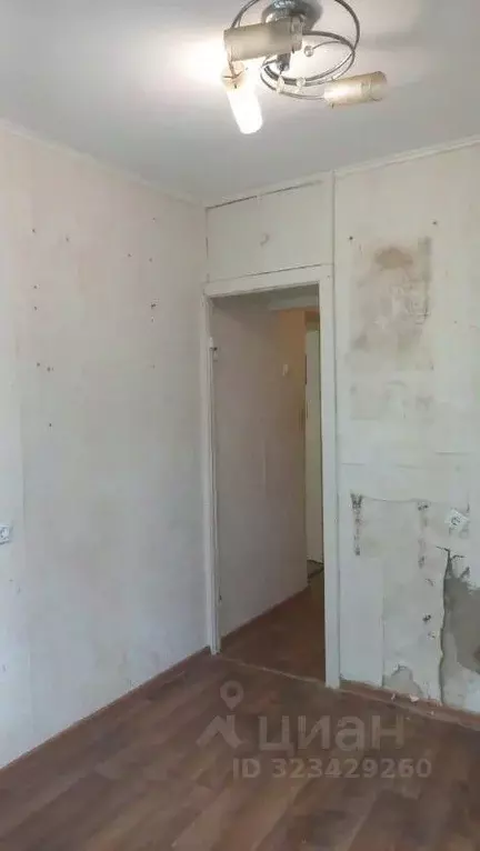 1-к кв. Краснодарский край, Геленджик ул. Гринченко (26.0 м) - Фото 1