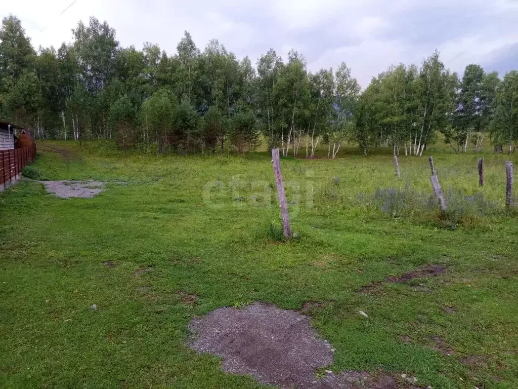 Участок в село Чемал, Сосновая улица (10 м) - Фото 2