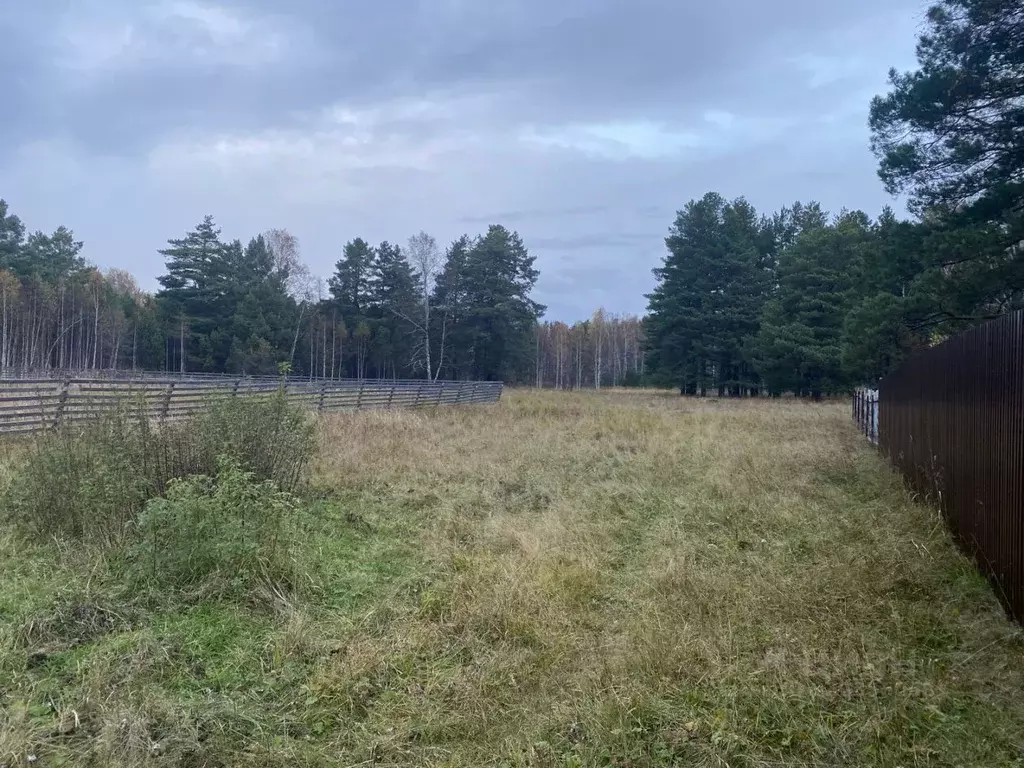 Участок в Челябинская область, Каслинский муниципальный округ, пос. ... - Фото 2