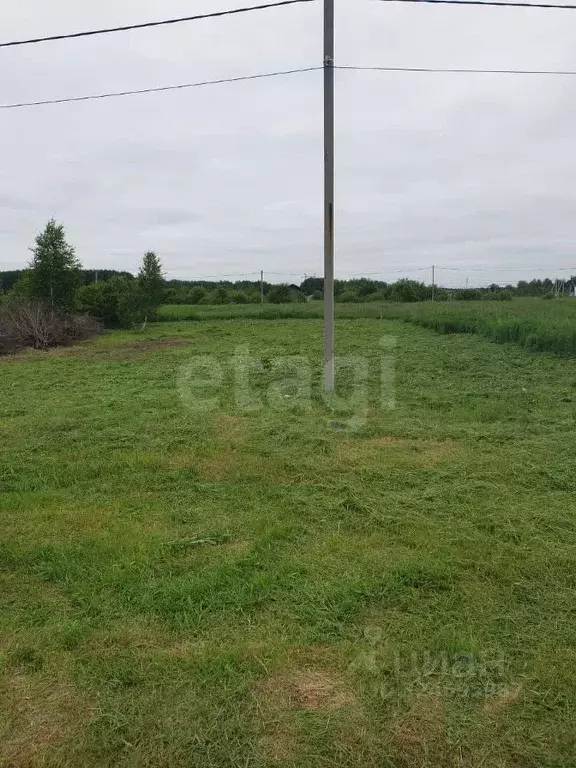 Участок в Тюменская область, Тюменский муниципальный округ, с. Кулига, ... - Фото 1