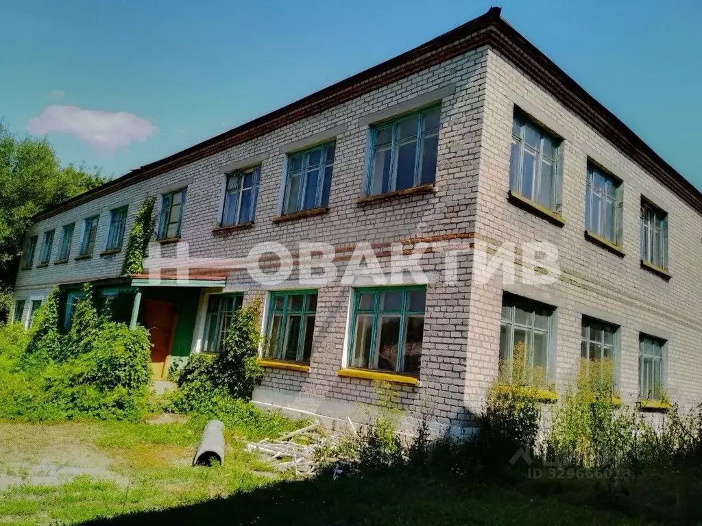Помещение свободного назначения в Алтайский край, Змеиногорский район, ... - Фото 1