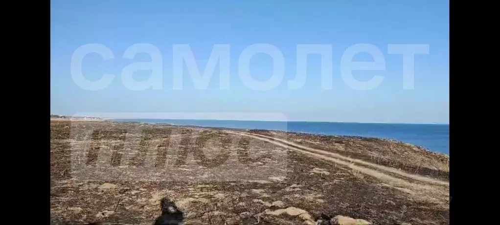 Участок в Крым, Черноморский район, Окуневское с/пос, с. Громово  (6.0 ... - Фото 2