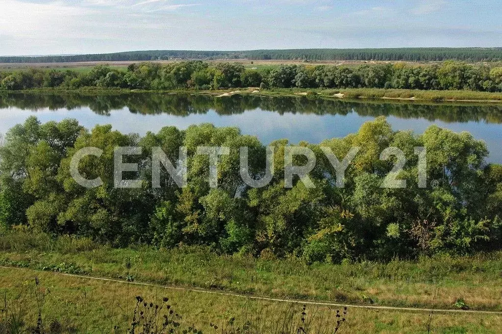Участок в Ленинградская область, Кингисеппский район, Котельское ... - Фото 2