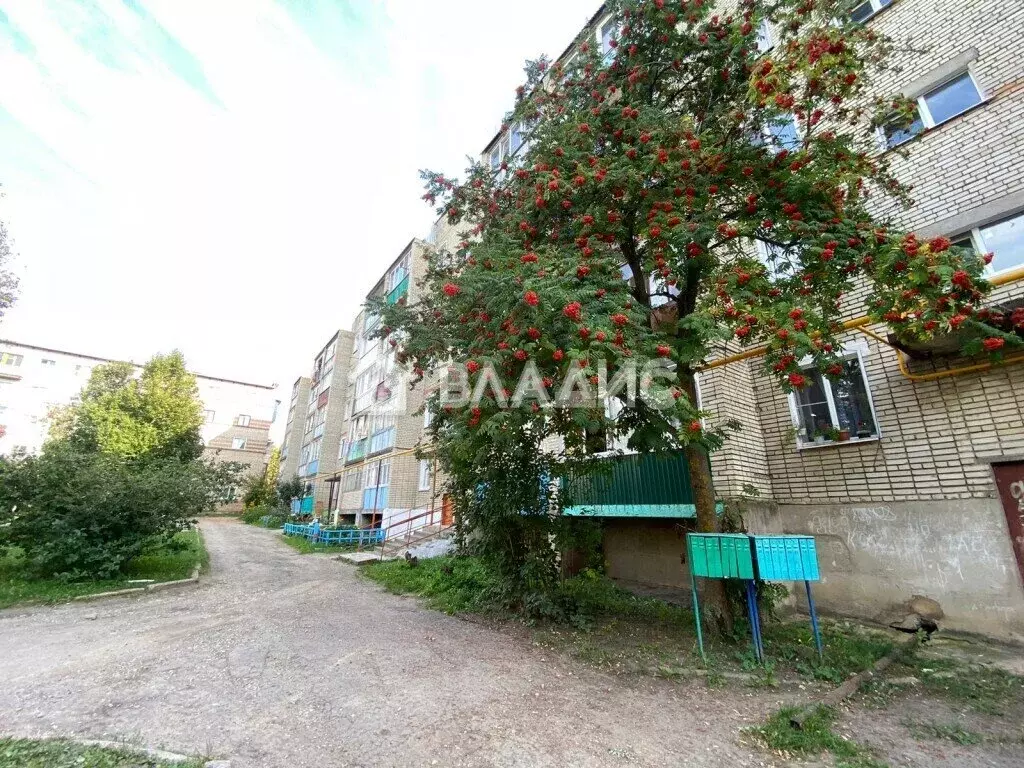 1-комнатная квартира: Сурск, Лесной переулок, 7 (30.7 м) - Фото 0