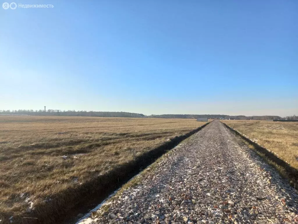 Участок в Раменский городской округ, дачный посёлок Давыдово (6 м) - Фото 1