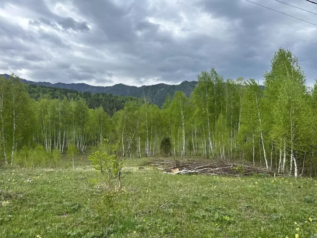 Участок в Алтай, Чемальский район, с. Чемал ул. Сосновая, 29 (9.73 ... - Фото 0