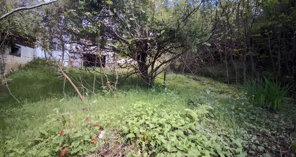 Участок в Краснодарский край, Сочи городской округ, с. Вардане-Верино ... - Фото 2