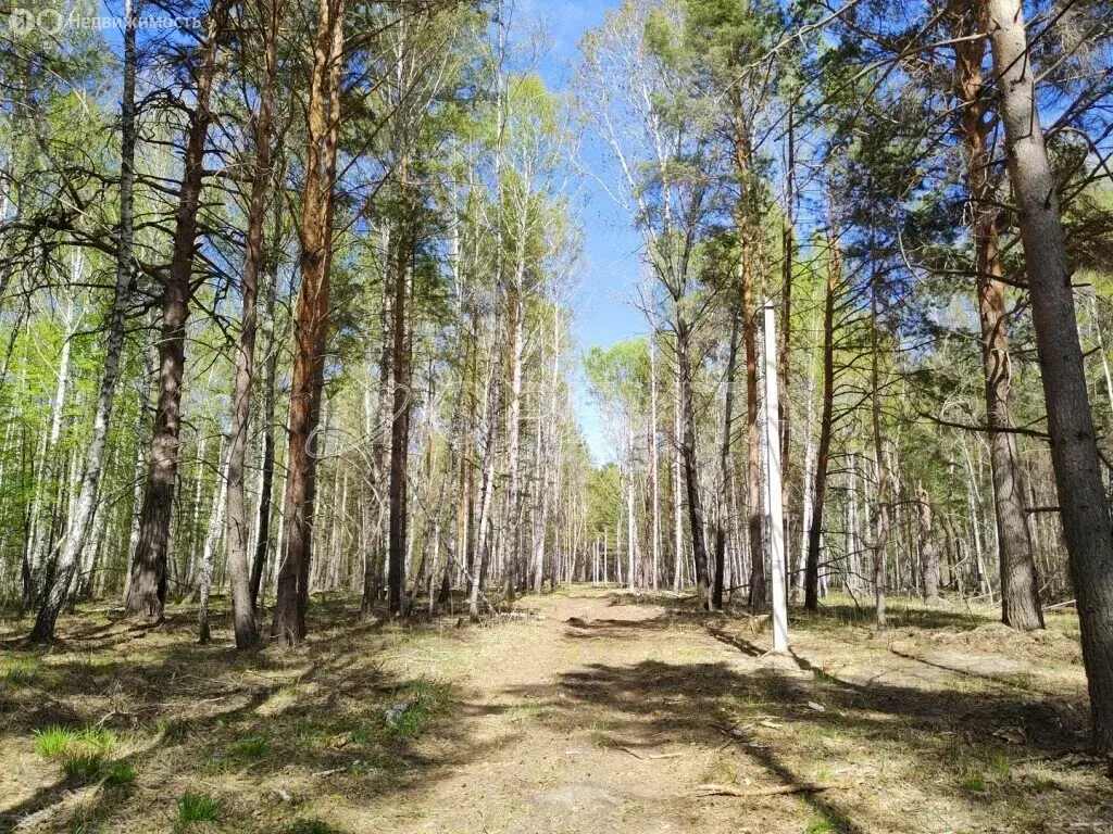 Участок в Тюменский район, СНТ Геофизик (148.36 м) - Фото 1