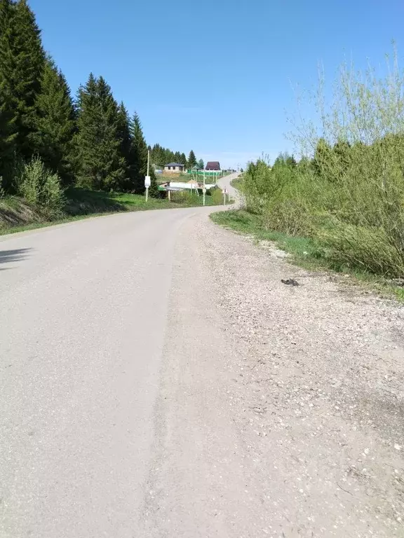Участок в Пермский край, Пермский муниципальный округ, д. Тупица  ... - Фото 2