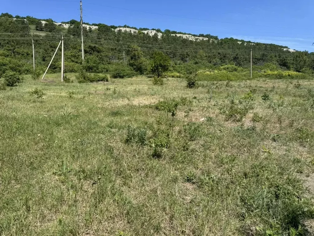 Участок в Крым, Симферопольский район, Перовское с/пос, Надежда ... - Фото 1