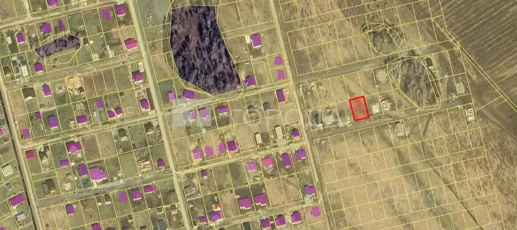 Участок в Новосибирская область, Новосибирский район, Березовский ... - Фото 2