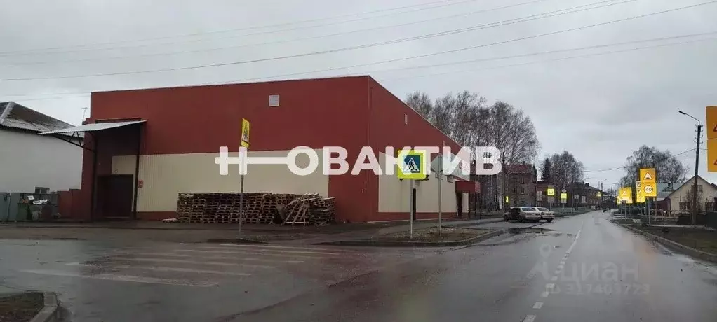 Торговая площадь в Новосибирская область, Болотное Советская ул., 25 ... - Фото 1