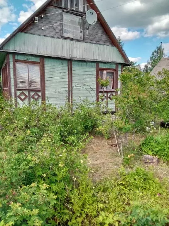 Участок в Ленинградская область, Гатчинский район, Чаща садоводческий ... - Фото 1