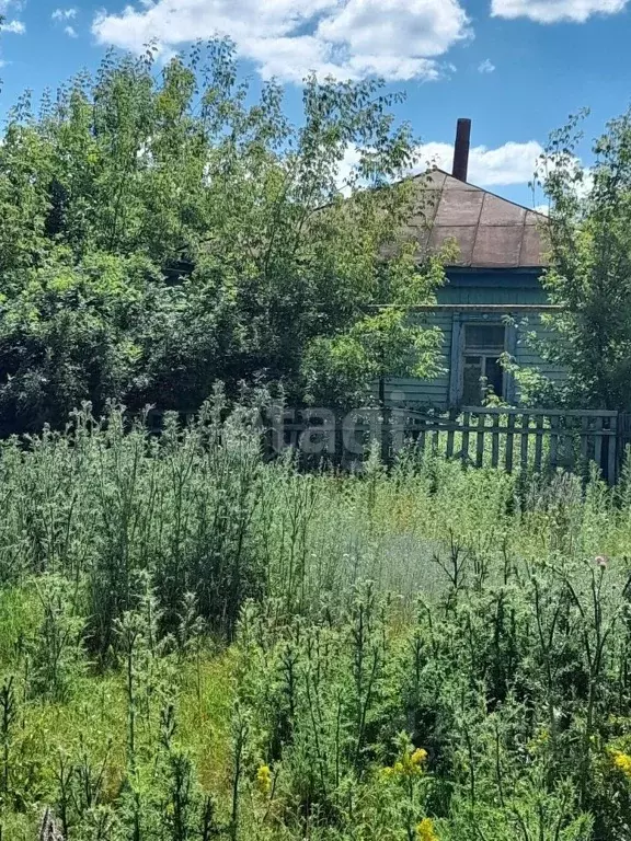 Дом в Саратовская область, Балашовский район, Родничковское ... - Фото 0