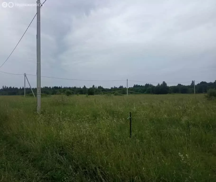 Участок в Псковский район, Логозовская волость, деревня Малая Листовка ... - Фото 1