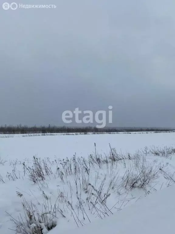 Участок в Усть-Абаканский район, садовые участки (11 м) - Фото 1
