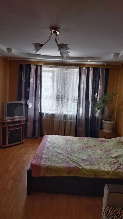 1-к. квартира, 50 м, 7/10 эт. - Фото 1