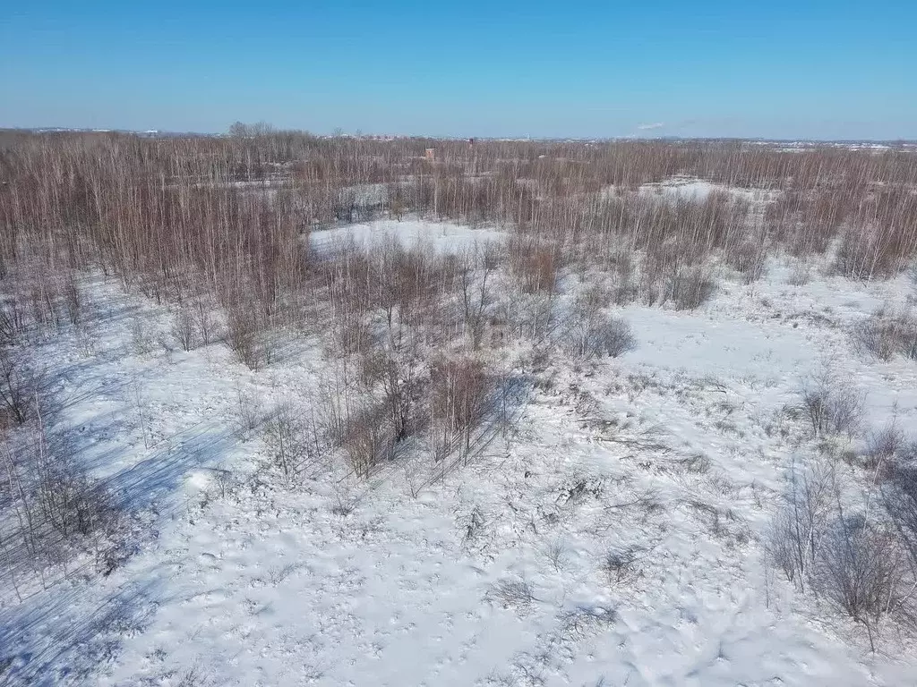 Участок в Хабаровский край, Хабаровский район, с. Мирное  (10.01 сот.) - Фото 2