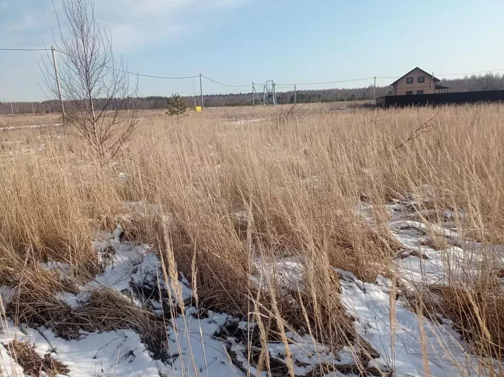 Участок в Московская область, Орехово-Зуевский городской округ, д. ... - Фото 1