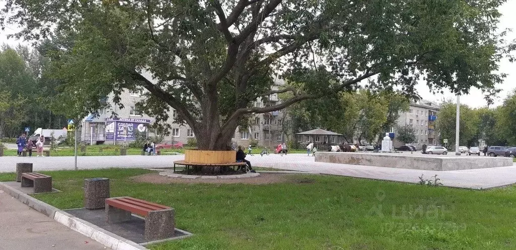 Участок в Пермский край, Пермский муниципальный округ, д. Сакмары  ... - Фото 1