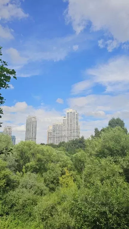 Свободной планировки кв. Москва Нежинская ул., 5к2 (167.6 м) - Фото 1