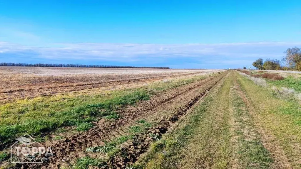 Участок в Крым, Сакский район, с. Ромашкино  (380.0 сот.) - Фото 1