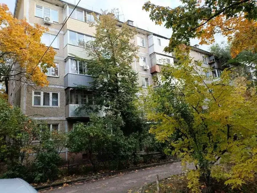 4-к кв. Воронежская область, Воронеж ул. Героев Сибиряков, 29 (61.2 м) - Фото 0
