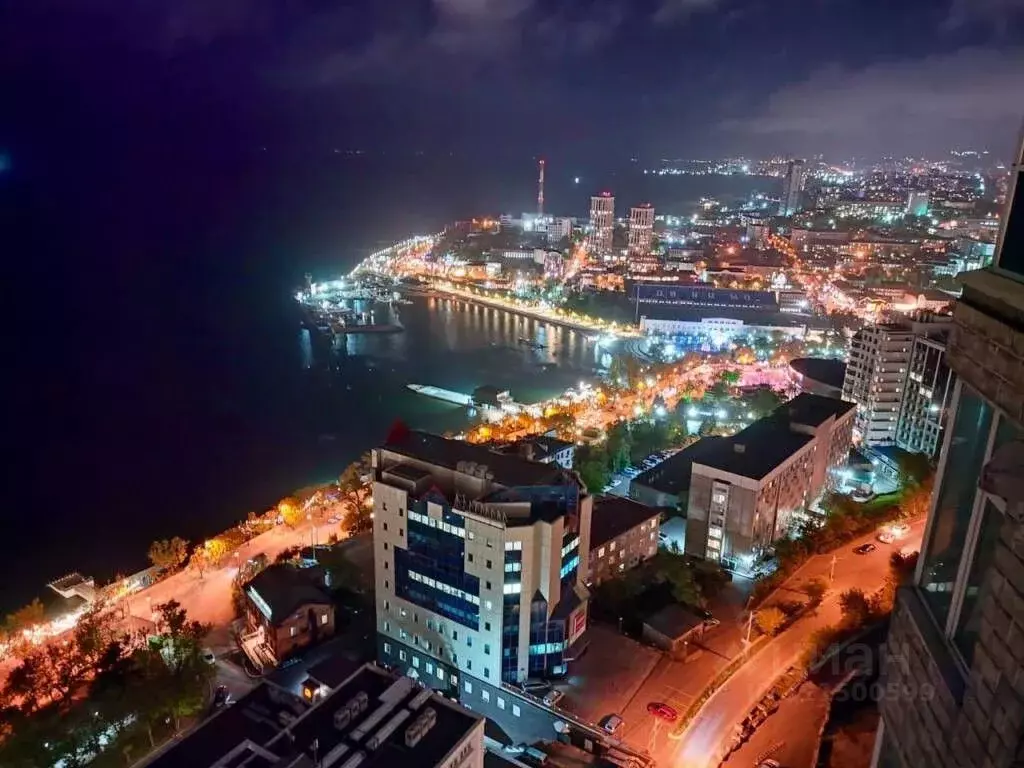 1-к кв. Приморский край, Владивосток Тигровая ул., 16А (54.0 м) - Фото 1