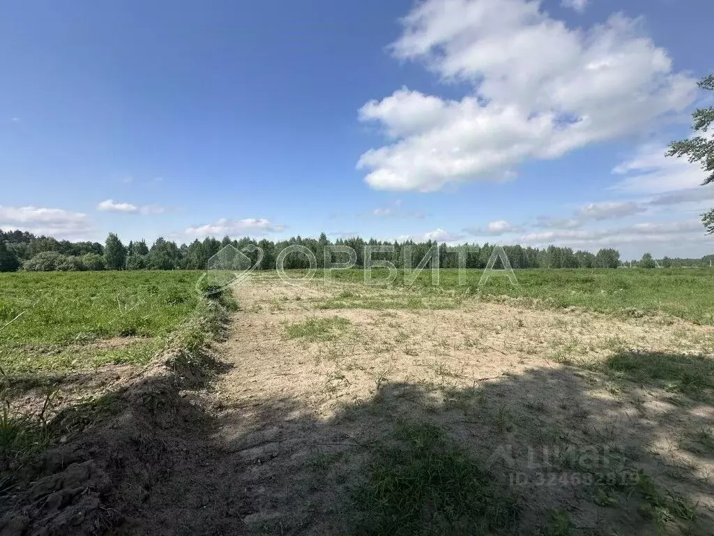 Участок в Тюменская область, Тюменский муниципальный округ, д. Чаплык  ... - Фото 2