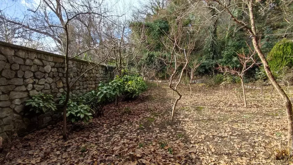 Участок в Крым, Ялта муниципальный округ, Массандра пгт ул. Совхозная ... - Фото 1