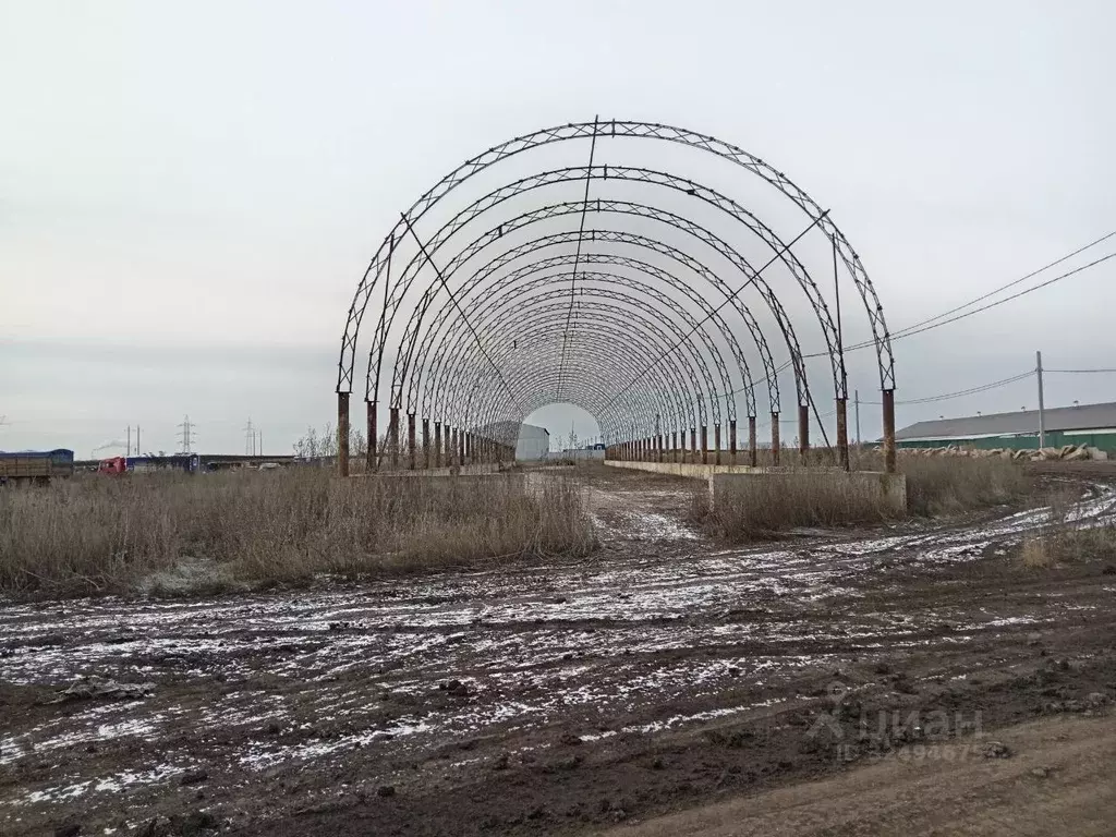 Участок в Оренбургская область, Сакмарский район, Татаро-Каргалинский ... - Фото 2