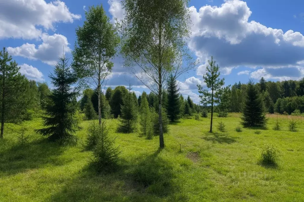 Участок в Московская область, Королев Болшево мкр, ул. Королева, 1Б ... - Фото 1