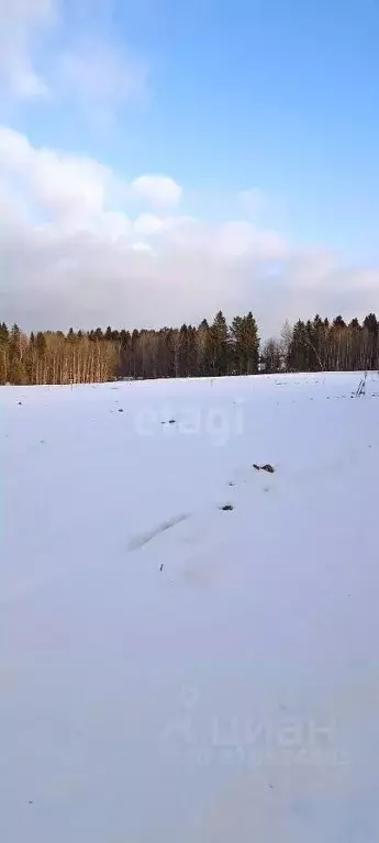 Участок в Пермский край, Добрянский городской округ, д. Залесная  (7.2 ... - Фото 1