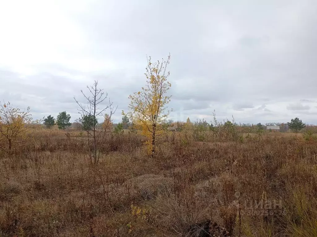 Участок в Воронежская область, Верхнехавский район, с. Углянец  (10.0 ... - Фото 0