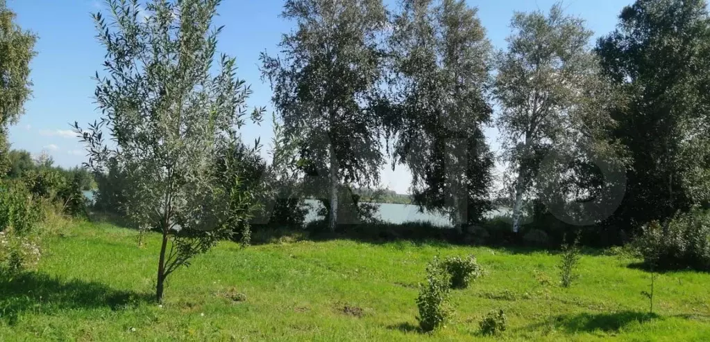 Участок 2 сот. (СНТ, ДНП) - Фото 1